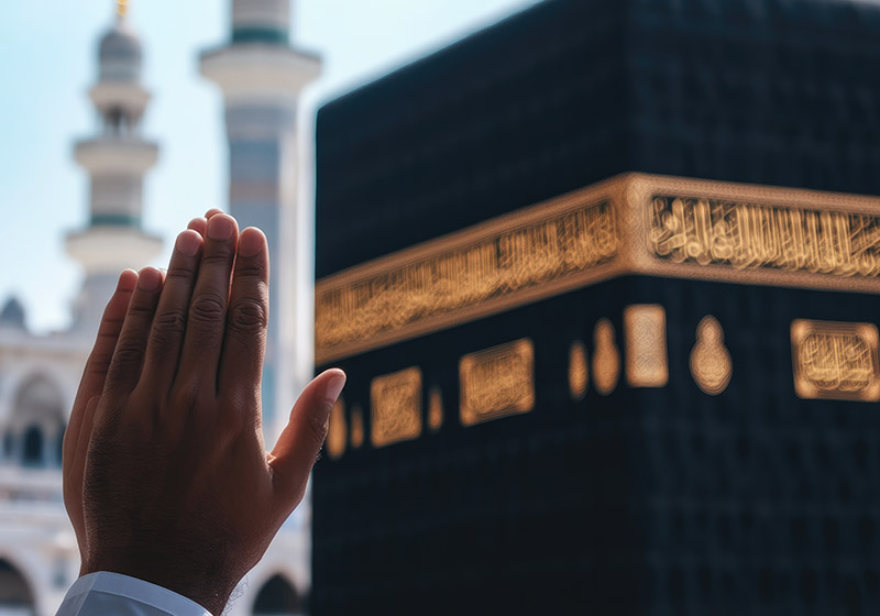 شركة الطائفين لخدمة حجاج الداخل